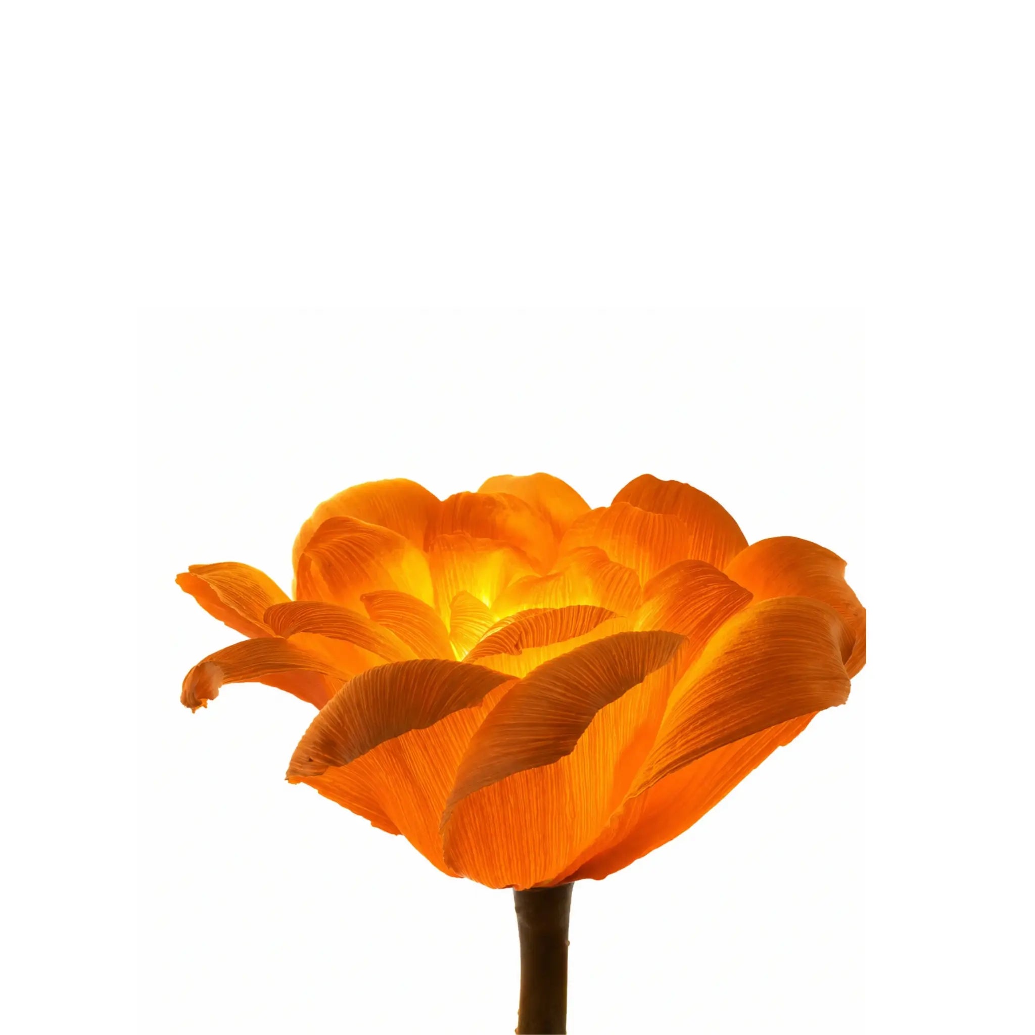 Luminária Flor Única - Palha