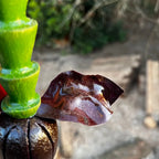 "Detalhe da folha do umbigo do cacho de bananas de madeira"