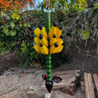 "Cacho de bananas pequeno de madeira pendurado em um quintal ao entardecer"