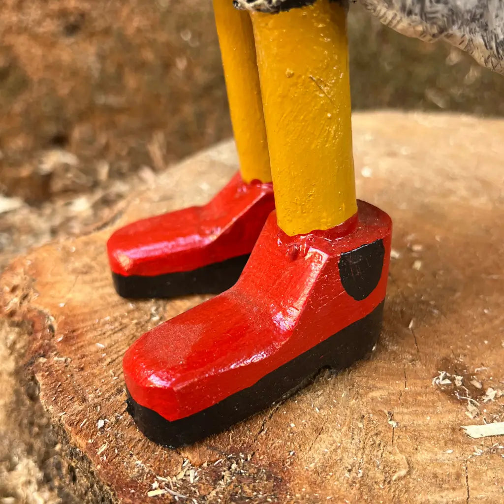 galinha-caipira-charmosa-detalhes-bota