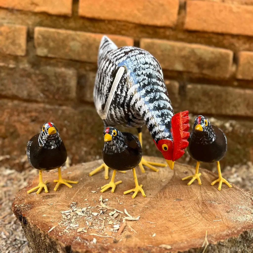 galinha-caipira-comendo-com-pintinhos-preto