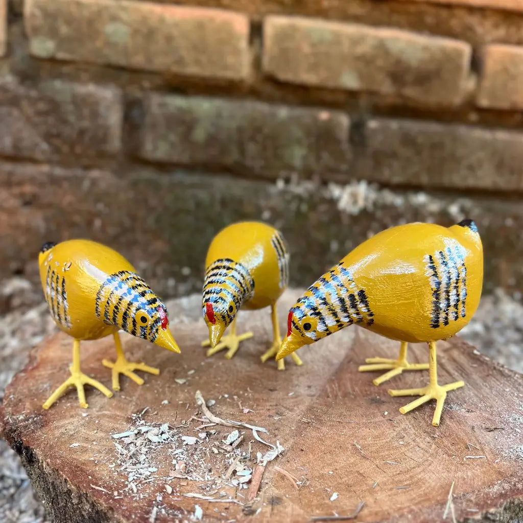 galinha-caipira-comendo-com-pintinhos