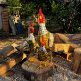 galinha-caipira-madeira-ocre