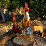 galinha-caipira-madeira-variadas