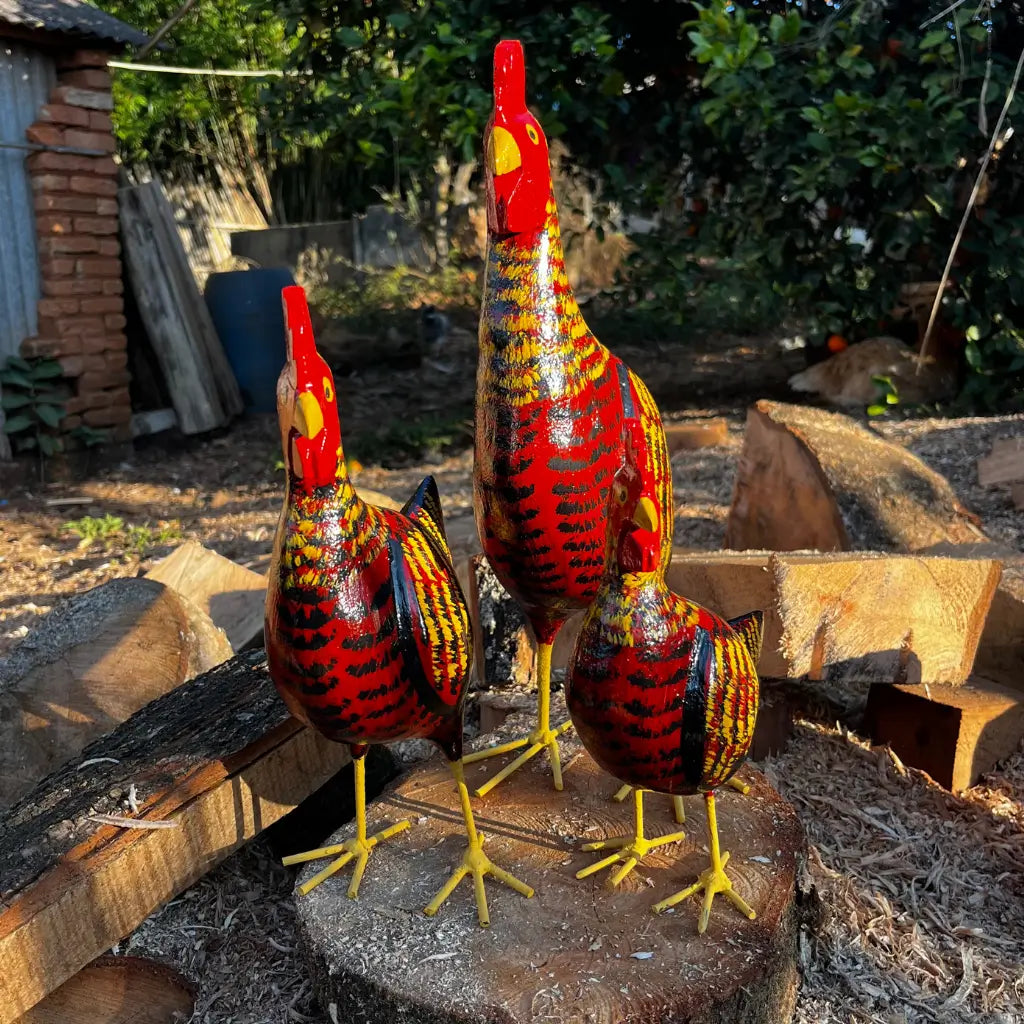 galinha-caipira-madeira-vermelho