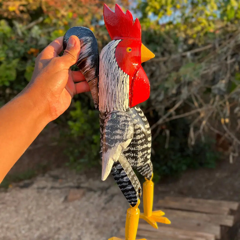 "Galo articualdo preto sendo segurando pelo rabo"
