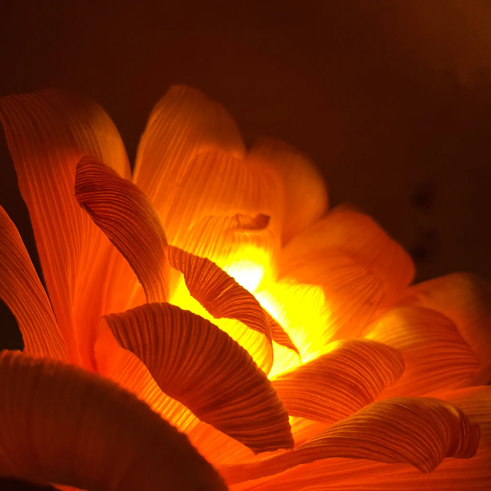 "Imagem dos detalhes de uma luminária de palha flor única"