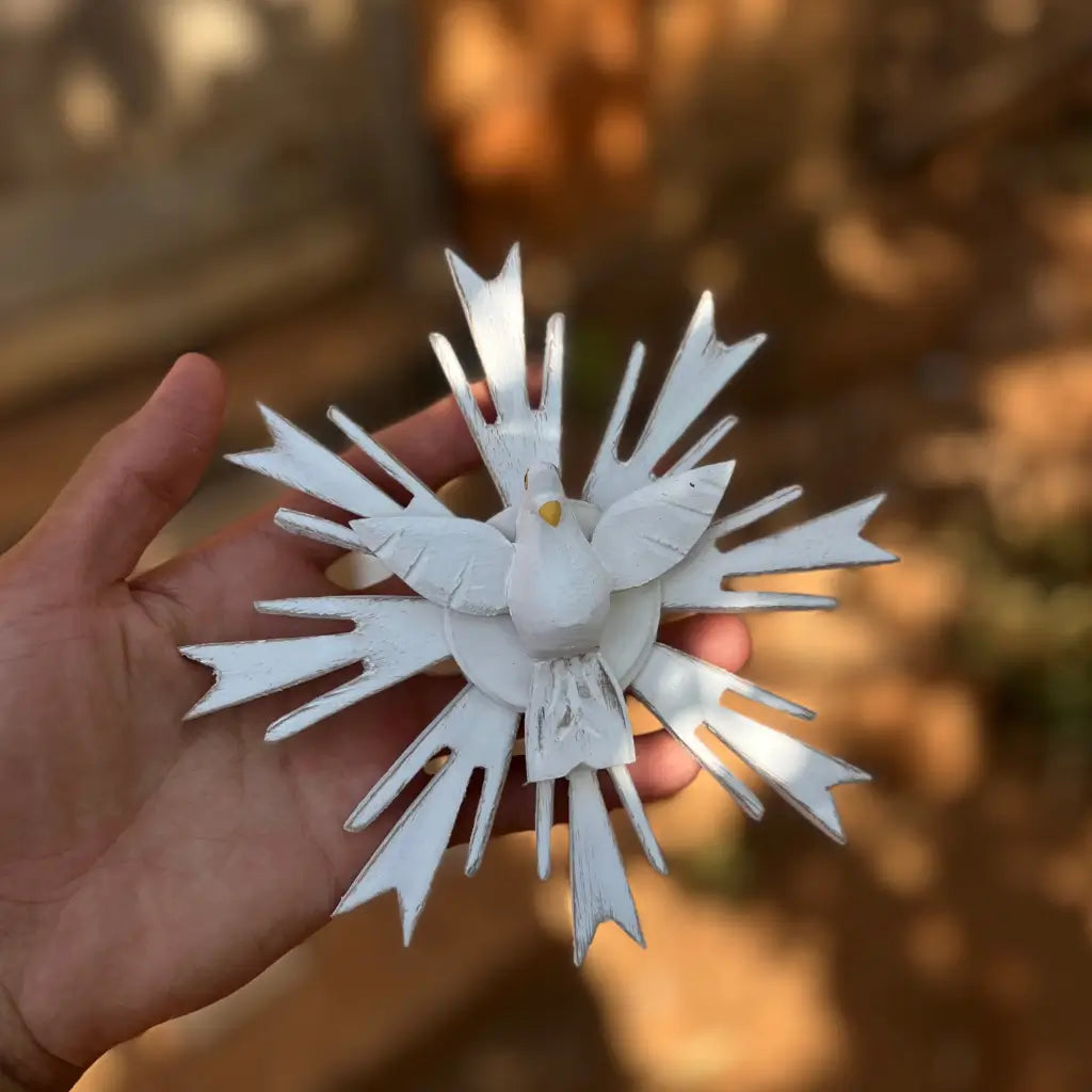 "Resplendor modelo 2 sendo segurado nas mãos"