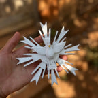 "Resplendor modelo 2 sendo segurado nas mãos"